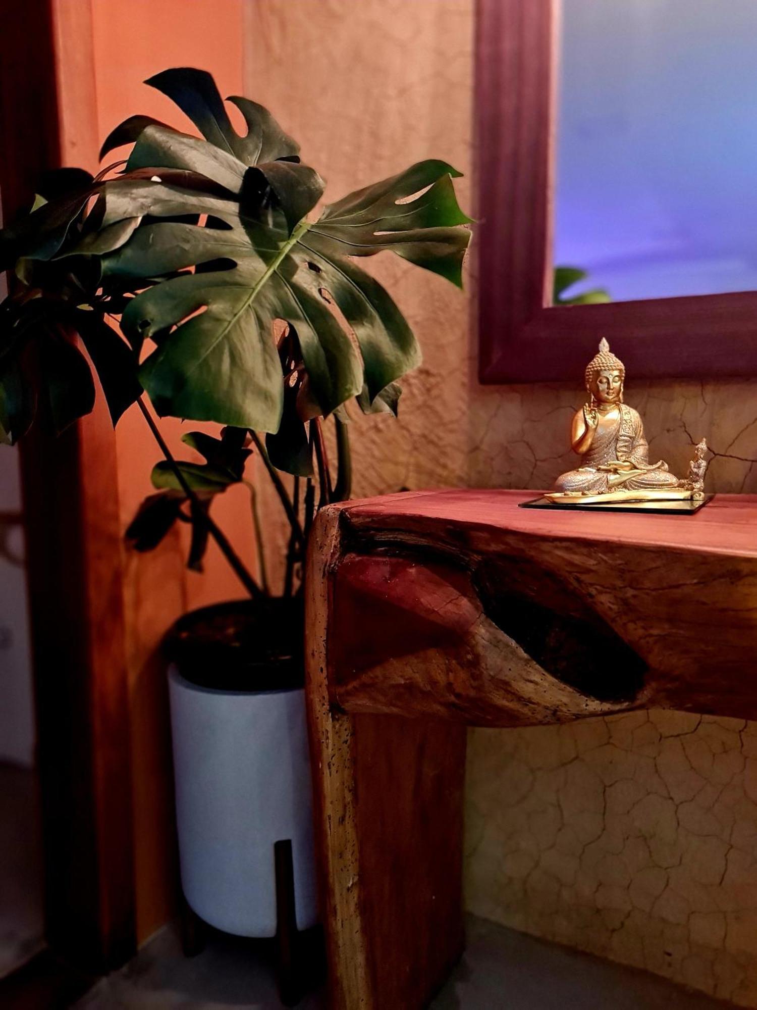 Casa Odara トランコーゾ エクステリア 写真